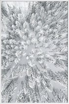 JUNIQE - Poster met kunststof lijst Snowy Forests -20x30 /Grijs & Wit