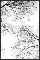 JUNIQE - Poster met kunststof lijst Black Branches 2 -13x18 /Wit &