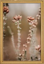 JUNIQE - Poster met houten lijst Nature Out Of Focus -30x45 /Bruin &