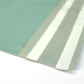 Plastic Verzendzakken 45x55+8cm Mint groen (250 st.)