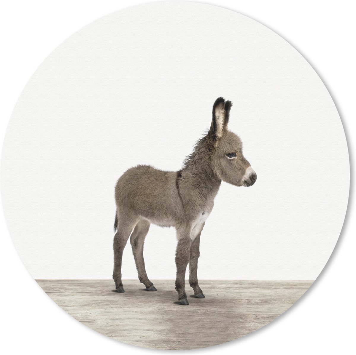 Muismat Animalprintshop - Ezeltje dierenprint Muismat rond - 20x20 cm - Muismat met foto