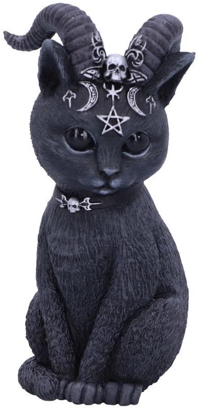 Pawzuph - Duistere Zwarte Kat Beeld