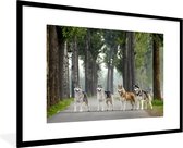 Fotolijst incl. Poster - Vier husky's tussen de bomen - 120x80 cm - Posterlijst