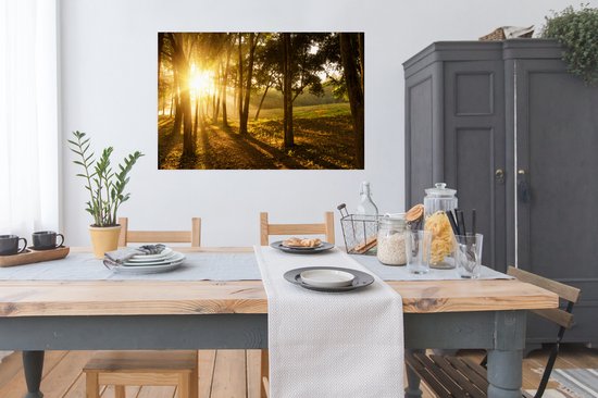 Le soleil d'automne se lève sur une forêt sombre Poster 120x80 cm - Tirage photo sur Poster (décoration murale salon / chambre)