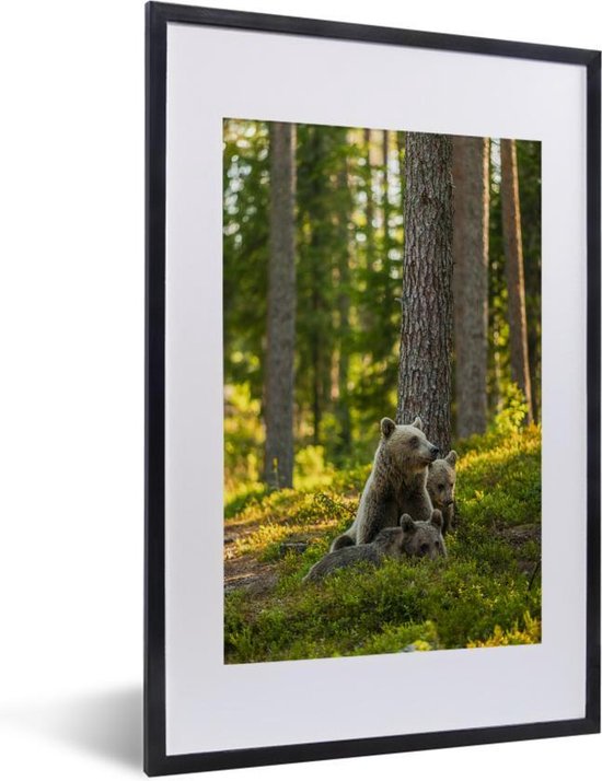 Poster met lijst - Bruine beren in het bos - Poster met lijst