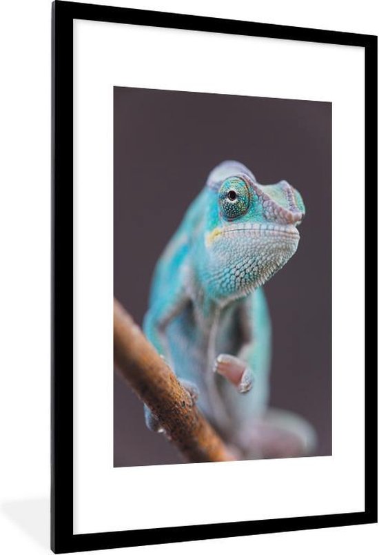 Fotolijst incl. Poster - Blauwe kameleon loopt over tak - 60x90 cm - Posterlijst