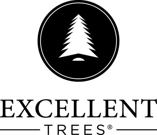 Kerstboom Excellent Trees® LED Stavanger 150 cm met verlichting - ⌀91cm - 150cm
