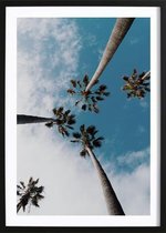 Palms In The Sky Poster (70x100cm) - Wallified - Tropisch - Poster - Print - Wall-Art - Woondecoratie - Kunst - Posters