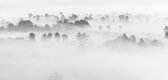 Fog in nature 180 x 120  - Dibond