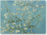 Amandelbloesem - Vincent van Gogh - 500 Stukjes puzzel voor volwassenen - Meesterwerken - Natuur - Bloemen - Vincent van Gogh