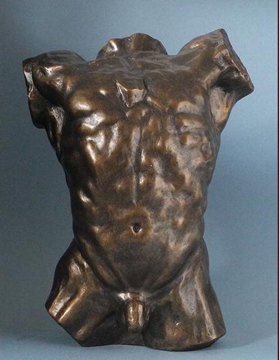 Rodin , Torso