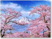 Fuji-berg en kersenbloesems in de lente, Japan - 40x30 Canvas Liggend - Besteposter - Landschap