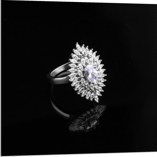 Dibond - Grote Ruitvormige Diamanten Ring - Foto op Aluminium (Met Ophangsysteem)