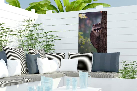 Tuinposter 40x60 cm - Tuindecoratie Wasbeer - Boom - Natuur - Poster voor in de tuin - Buiten decoratie - Schutting tuinschilderij - Tuindoek muurdecoratie - Wanddecoratie balkondoek