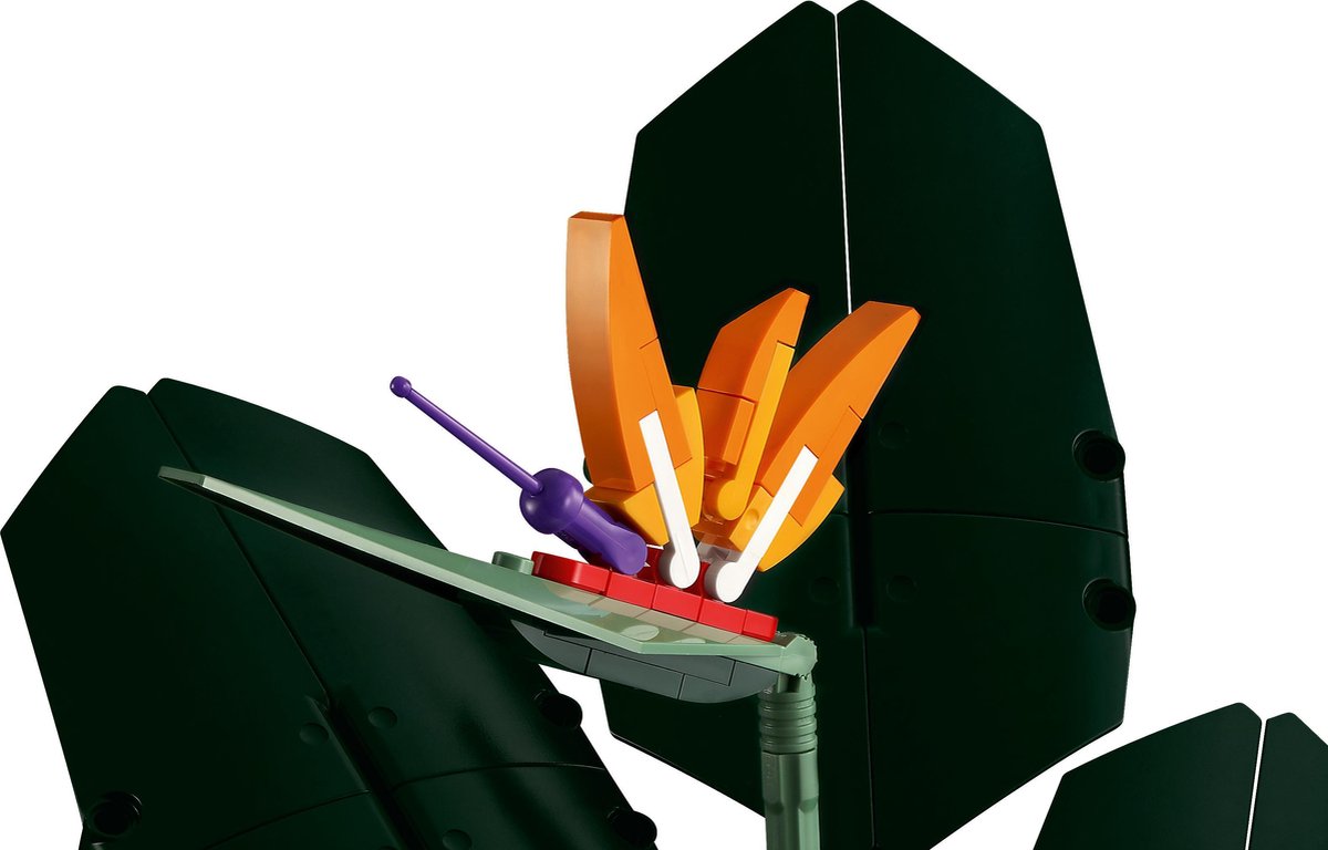 LEGO Botanicals Paradijsvogelplant 10289 — afbeelding 14