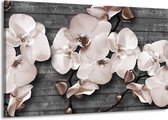 Peinture | Peinture sur toile Orchidée, Fleurs | Gris | 140x90cm 1 Liège | Tirage photo sur toile