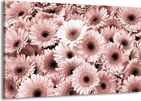Peinture | Peinture sur toile Gerbera, fleurs | Marron, rouge | 140x90cm 1 Liège | Tirage photo sur toile