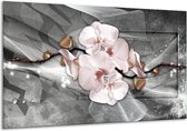 Schilderij Op Canvas Orchidee, Bloemen - Grijs - 120x70cm 1Luik - Foto Op Canvas - GroepArt 6000+ Schilderijen 0p Canvas Art Collectie - Wanddecoratie - Woonkamer - Slaapkamer - Canvas Print