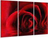 Glasschilderij Roos - Zwart, Rood - 120x80cm 3Luik - Foto Op Glas - Geen Acrylglas Schilderij - GroepArt 6000+ Glas Art Collectie - Maatwerk Mogelijk