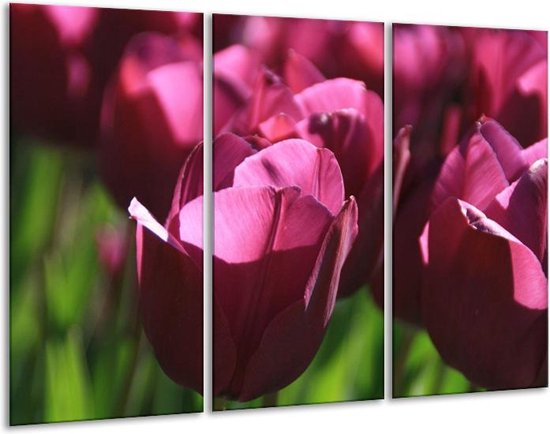 Purple Raven | Tulp | Jan de Wit en Zonen B.V Purple Raven | Tulp | Jan de Wit en Zonen B.V
