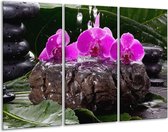 Glasschilderij Orchidee - Zwart, Roze, Grijs - 120x80cm 3Luik - Foto Op Glas - Geen Acrylglas Schilderij - GroepArt 6000+ Glas Art Collectie - Maatwerk Mogelijk