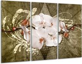 GroepArt - Schilderij -  Orchidee - Goud, Wit, Bruin - 120x80cm 3Luik - 6000+ Schilderijen 0p Canvas Art Collectie