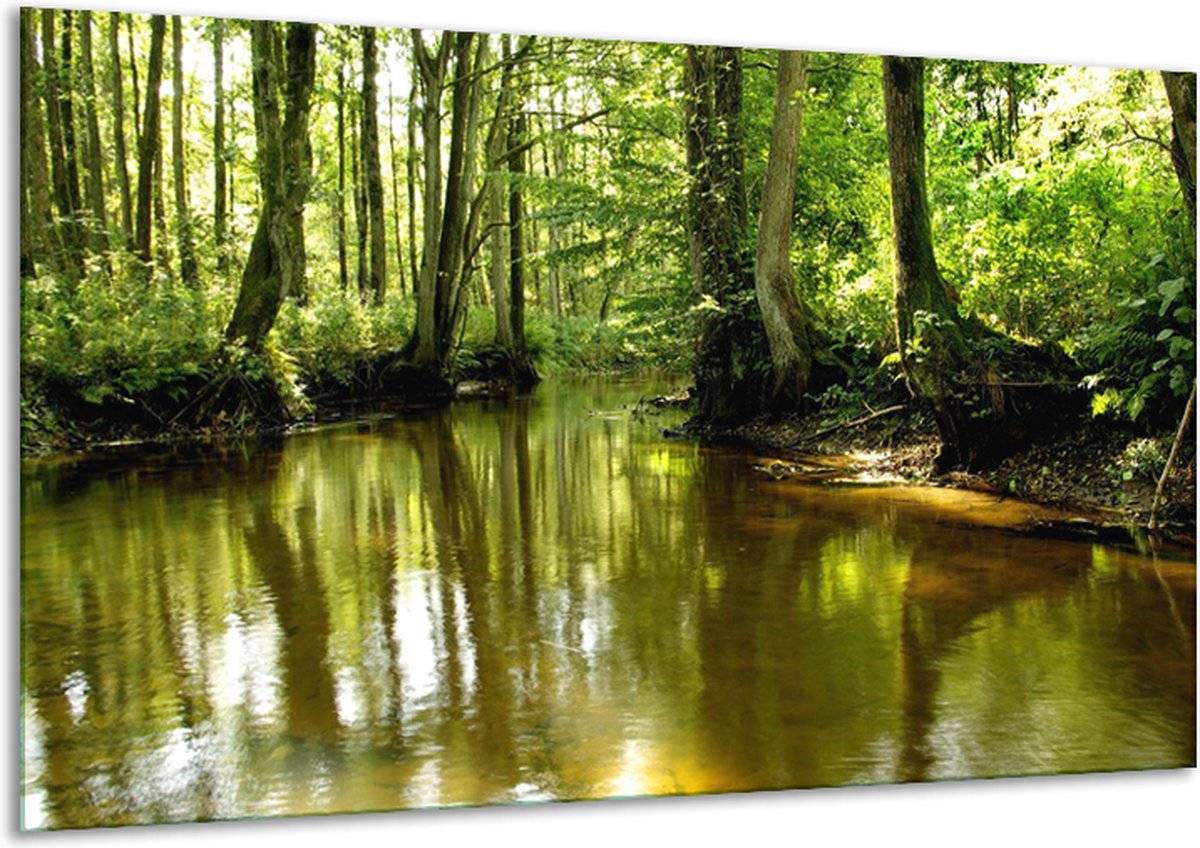 Glasschilderij Natuur - Groen, Bruin - 120x70cm 1Luik - Foto Op Glas - Geen Acrylglas Schilderij - GroepArt 6000+ Glasschilderijen Art Collectie - Wanddecoratie - Woonkamer - Slaapkamer