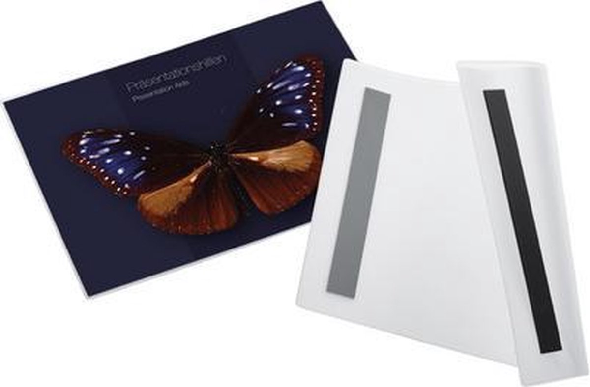 magnetoplan magnetofix magnetische zak, A4 staand, transparant
