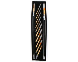 Penselenset  Multi brush Professional colours 12 brushes