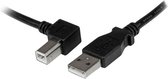 USB A to USB B Cable Startech USBAB1ML Black