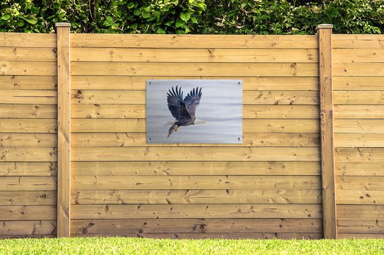 Posters de jardin extérieur Aigle avec poisson au-dessus de l'eau - 90x60 cm - Toile de jardin - Affiche extérieure