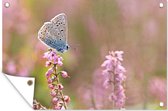 Tuindecoratie Vlinder - Bloem - Vleugels - 60x40 cm - Tuinposter - Tuindoek - Buitenposter