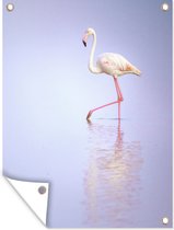 Tuinposter - Tuindoek - Tuinposters buiten - Eenzame flamingo loopt door het water - 90x120 cm - Tuin