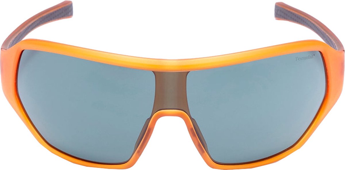 Formule 1 eyewear zonnebril - F1S1030