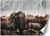 Trend24 - Behang - Olifanten In Een Kudde - Behangpapier - Fotobehang Dieren - Behang Woonkamer - 368x254 cm - Incl. behanglijm