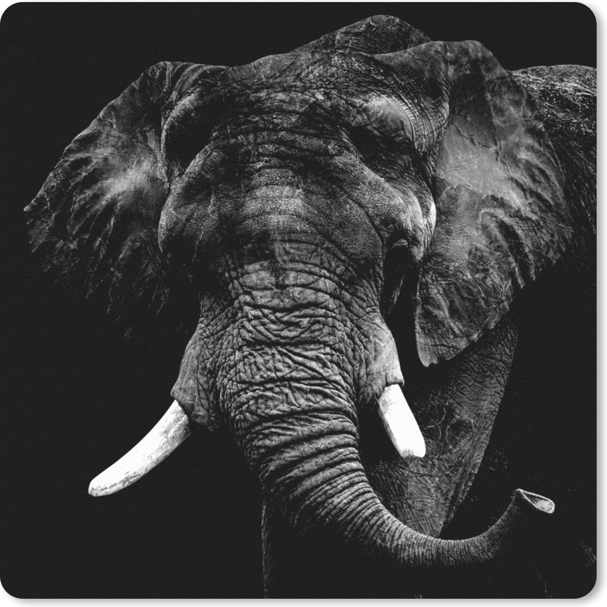 Muismat 30x30 cm - Mousepad Olifant - Dieren - Tanden - Zwart - Wit - Muismatten