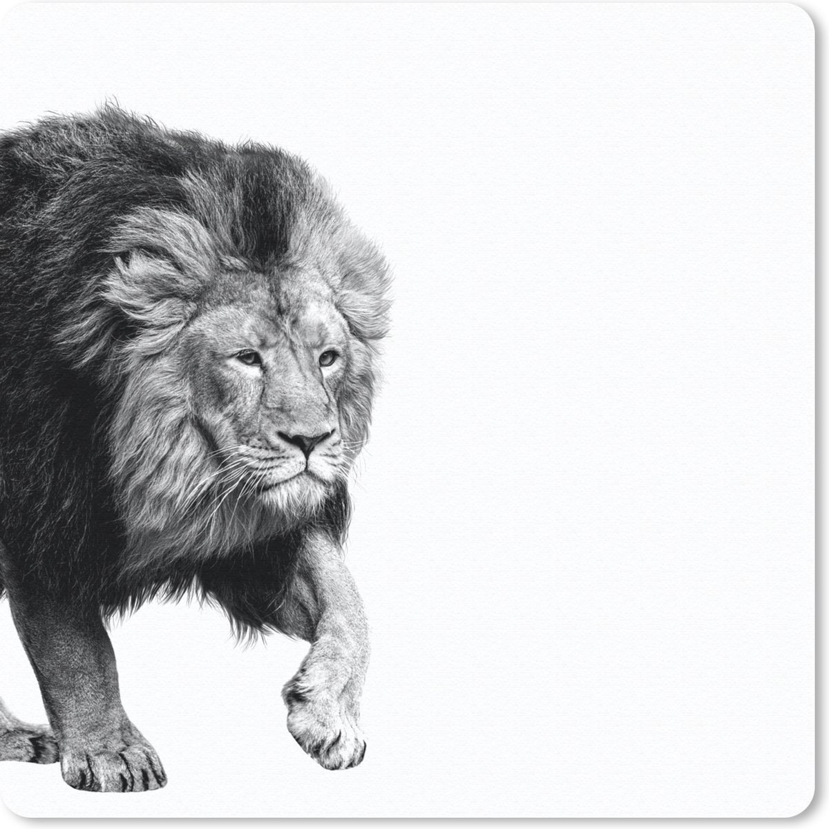 Muismat 30x30 cm - Mousepad Leeuw - Dieren - Zwart - Wit - Muismatten