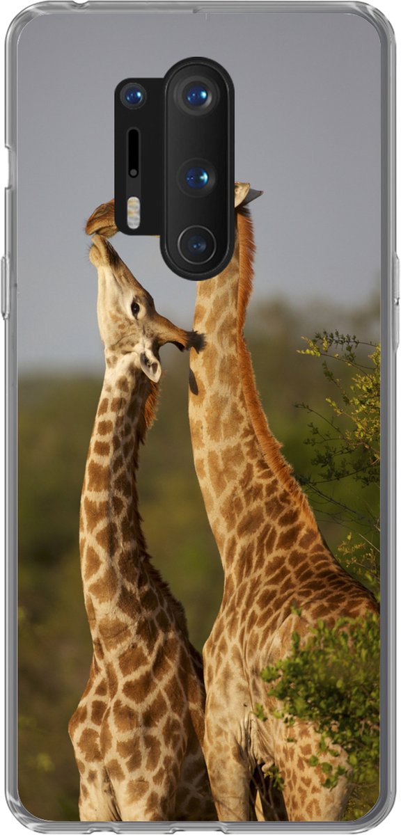 Telefoonhoesje Geschikt voor OnePlus 8 Pro hoesje - Giraf - Boom - Kalf - Portret - Siliconen Telefoonhoesje Telefoonhoesje