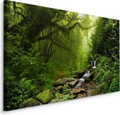 Schilderij - Subtropisch Bos in Nepal, Groen, Premium Print