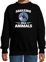 Sweater orka - zwart - kinderen - amazing wild animals - cadeau trui orka / orka walvissen liefhebber 12-13 jaar (152/164)