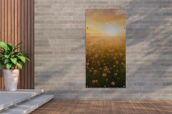 Affiche de clôture Coucher de soleil - Fleurs - Couleurs - 100x200 cm - Toile de jardin