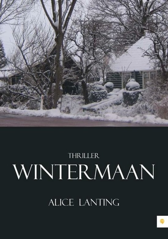 Cover van het boek 'Wintermaan'