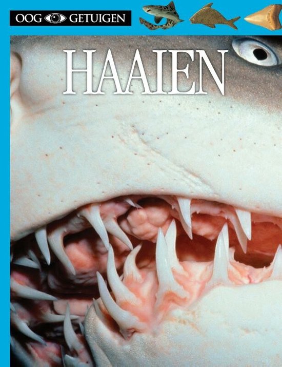 Cover van het boek 'Haaien'