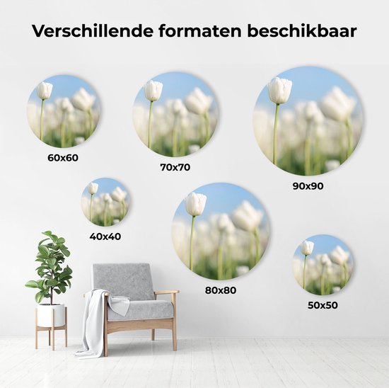Artaza Dibond Cercle Mural Tulipes Witte - Fleurs - Ø 70 cm - Cercle Mural - Tableau Rond - Pour Intérieur et Extérieur