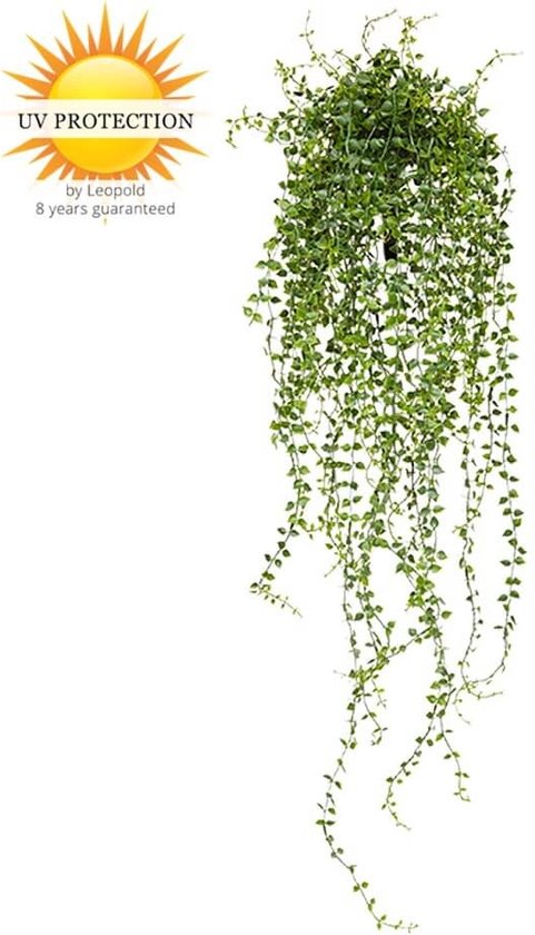 LeopoldFlora Callisia Repens Kunsthangplant - 70 cm - Groen