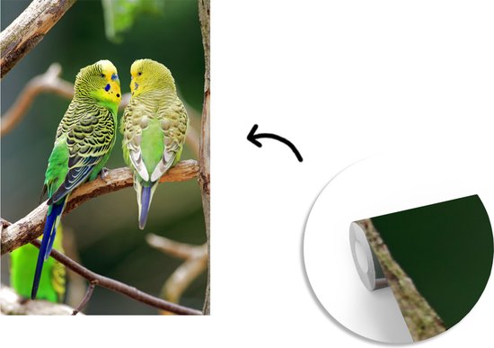 Papier peint vinyle - Deux perruches dans un arbre largeur 190 cm x hauteur 280 cm - Tirage photo sur papier peint (disponible en 7 tailles)