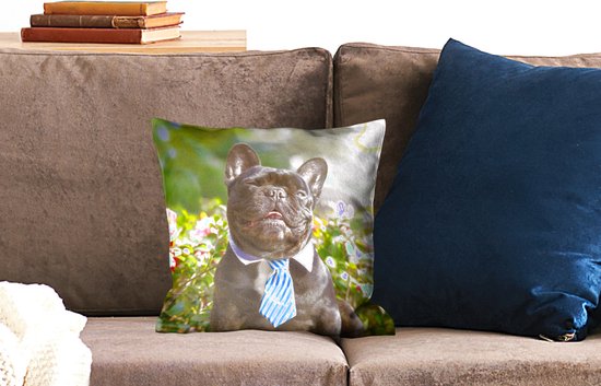 Sierkussen Bouledogue français pour l'intérieur - Bouledogue français avec une cravate bleue - 40x40 cm - Coussin intérieur carré en coton