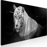 Schilderij - Shining Tiger (1 Part) Black and White Narrow.