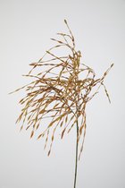 Kunsttak - Willow grass - topkwaliteit decoratie - 2 stuks - zijden tak - Geel - 79 cm hoog