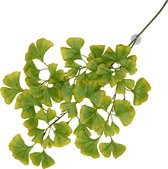 Aqua della hangende plant ginko 63x36x5cm groen